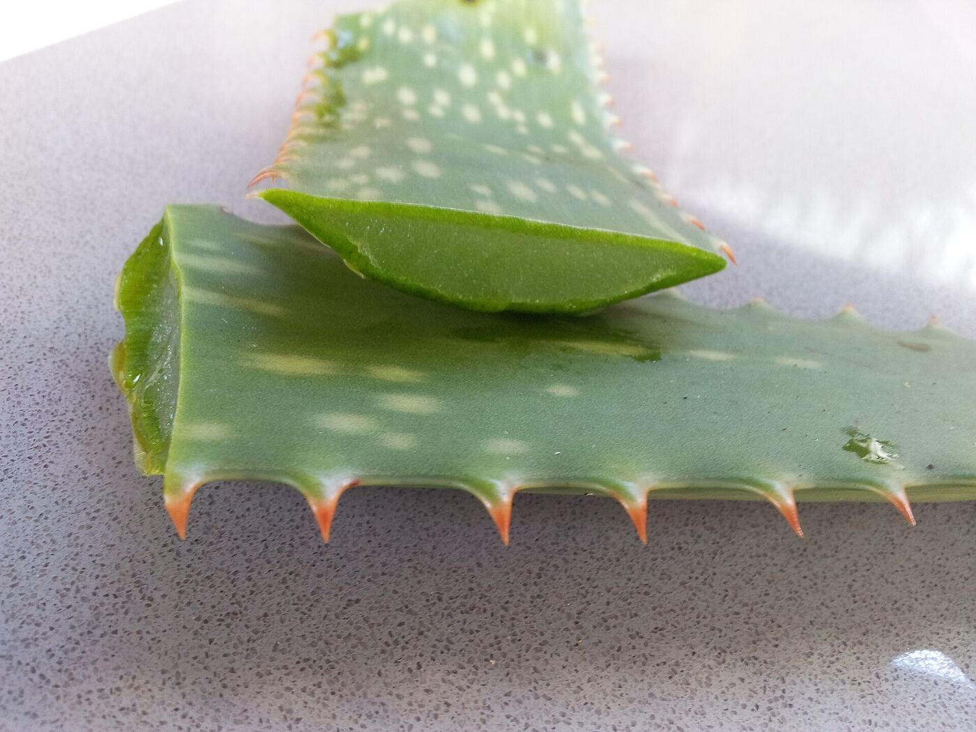 A cut aloe vera leaf showing clear inner gel