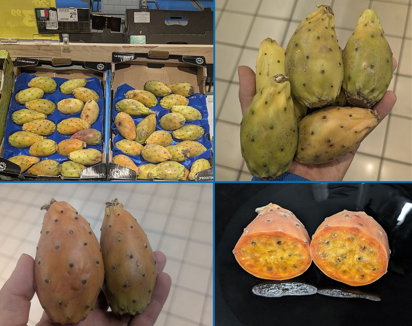 Ripe and unripe Indian fig opuntia fruits, one cut open