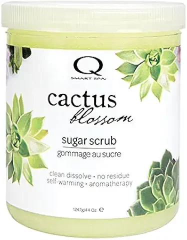 Why Cactus Gel Is Popular in Dry Season Skincare - 41qsfGa7QBS. AC UL480 FMwebp QL65