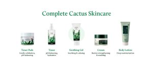 The Surprising Use of Cactus Gel in Cooking