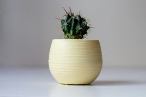 How to Use Cactus Gel with Gua Sha Tools